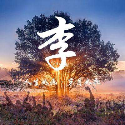 儒道至圣内购破解版下载